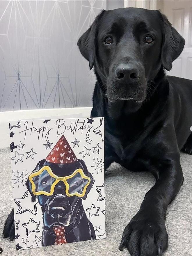 Birthday Fun Superstar Black Labrador Greeting Card.