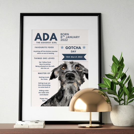 Personalised Pet Portrait Commission - Custom Dog & Cat Artwork