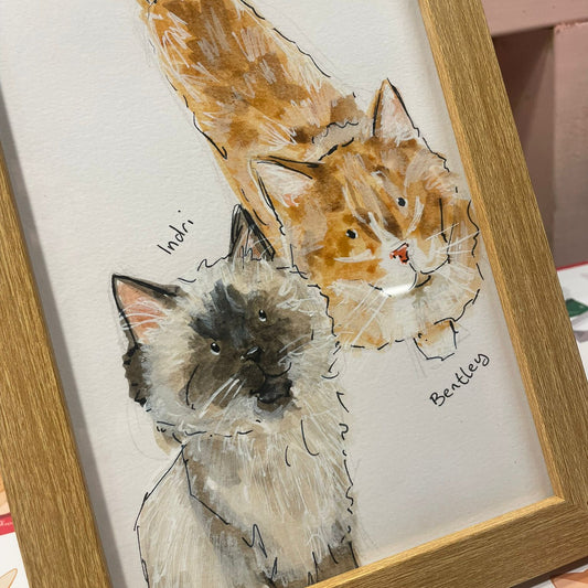 Dotts Doodle - Cat A5 - 1 to 3 pets