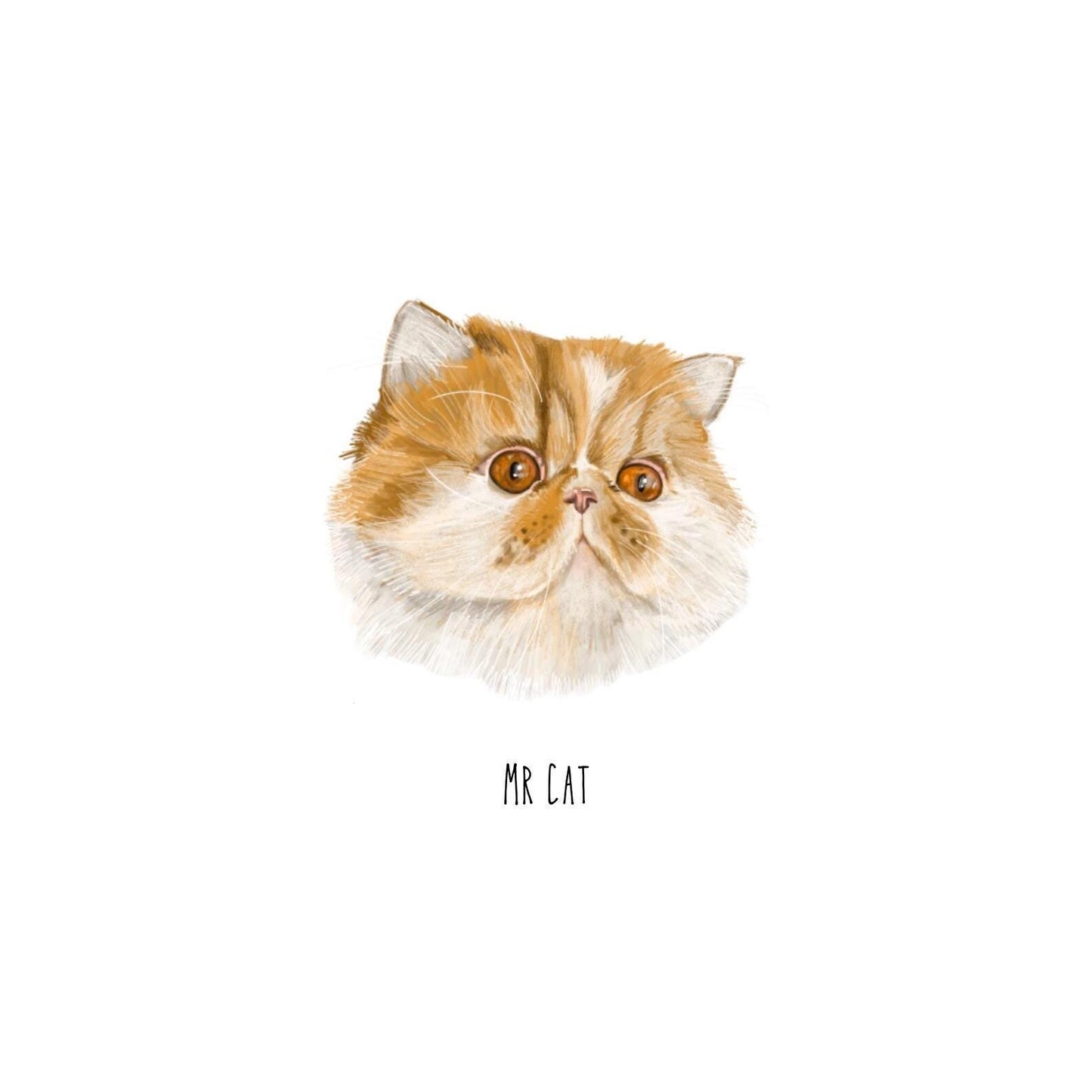 Mini pet portrait, Head study, Illustrative style, playful and modern