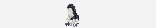 Autumn Guest Spotlight: Introducing Woof by Hollie - Our First Featured Creative