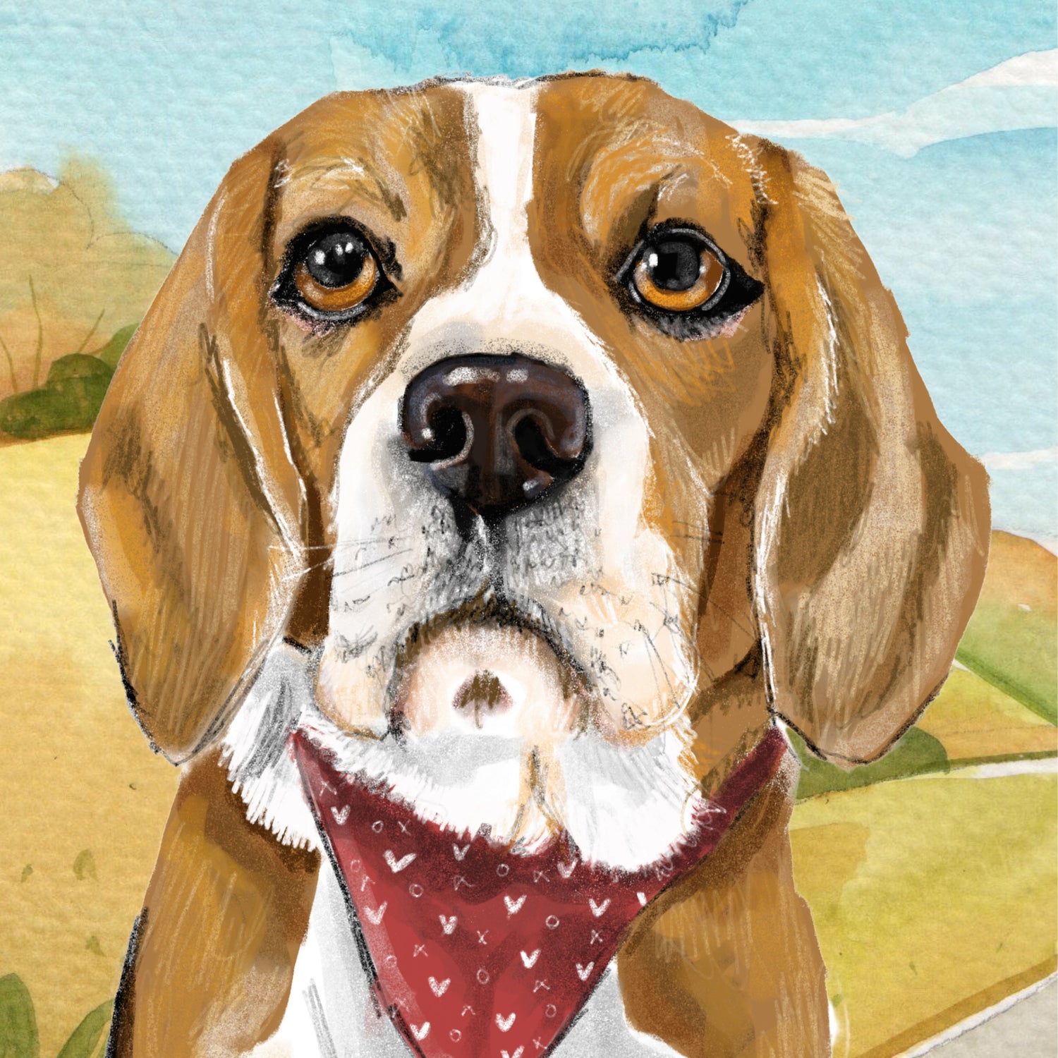 Beagle