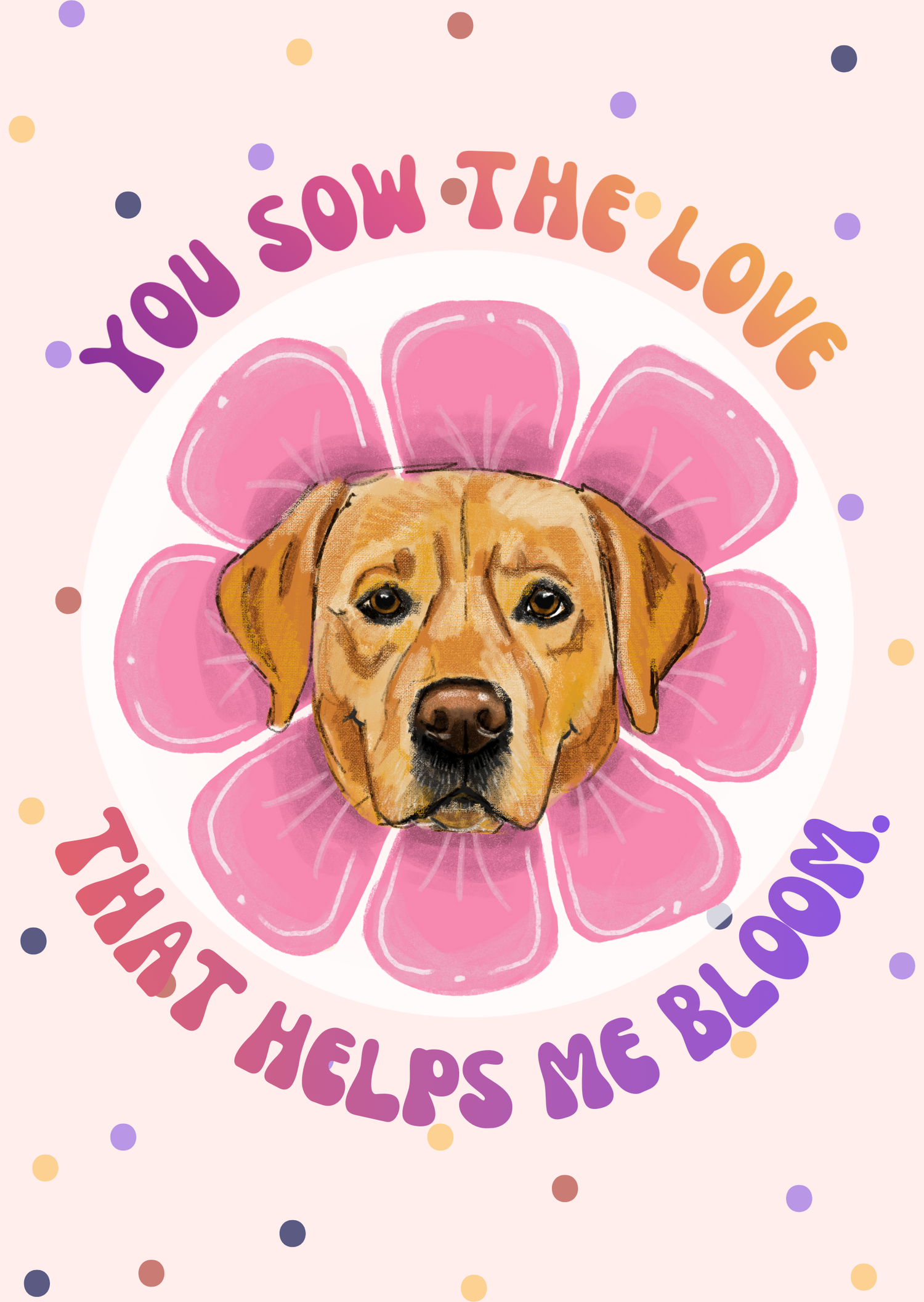 Labrador