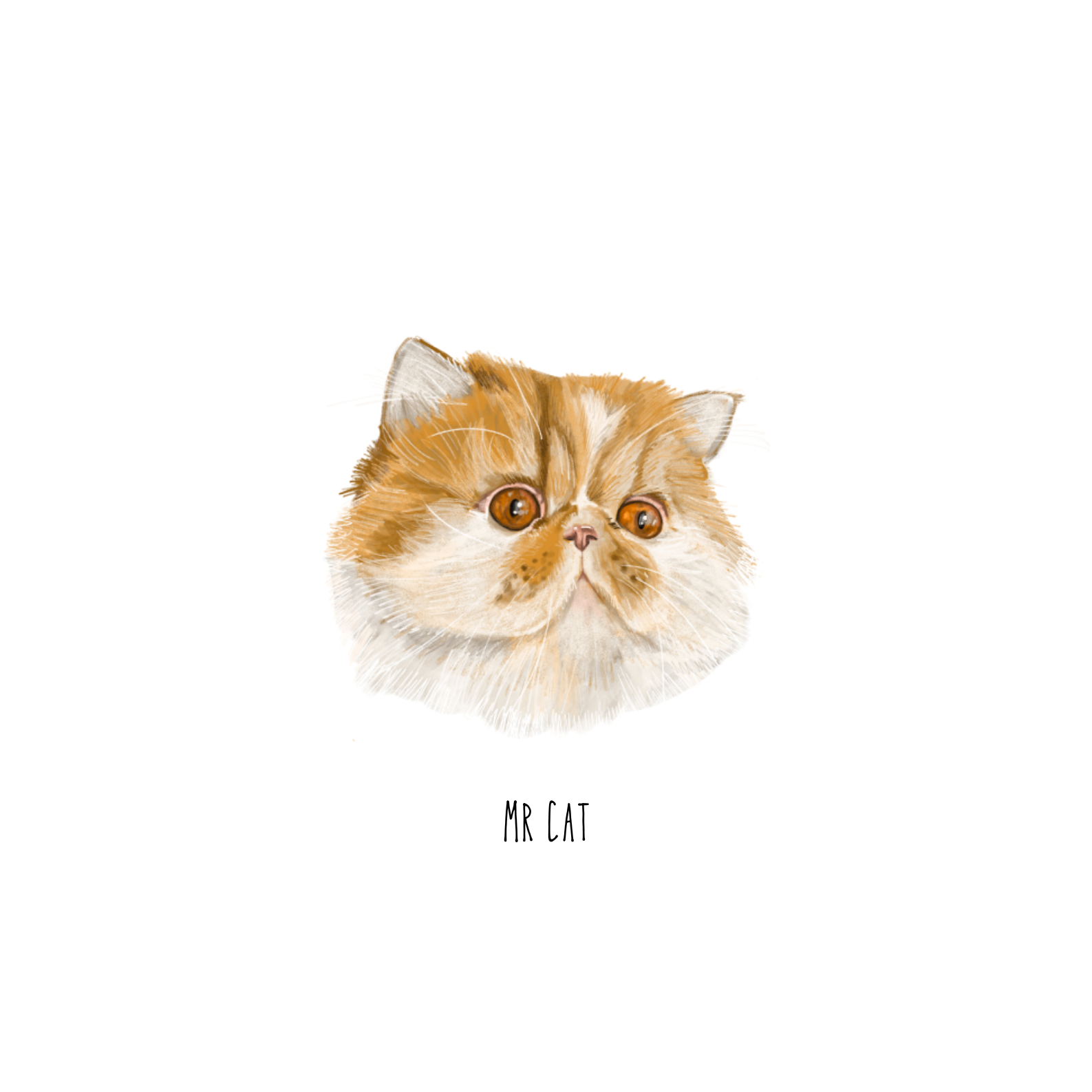 Illustration of a cat's face with 'MR CAT' text on a white background